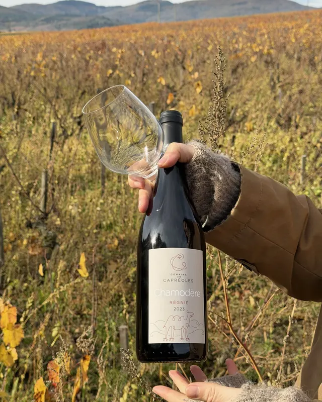 Régnié Chamodère, Domaine des Capréoles, on the list